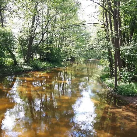Mazury Caloroczny Jezioro * Pelnik